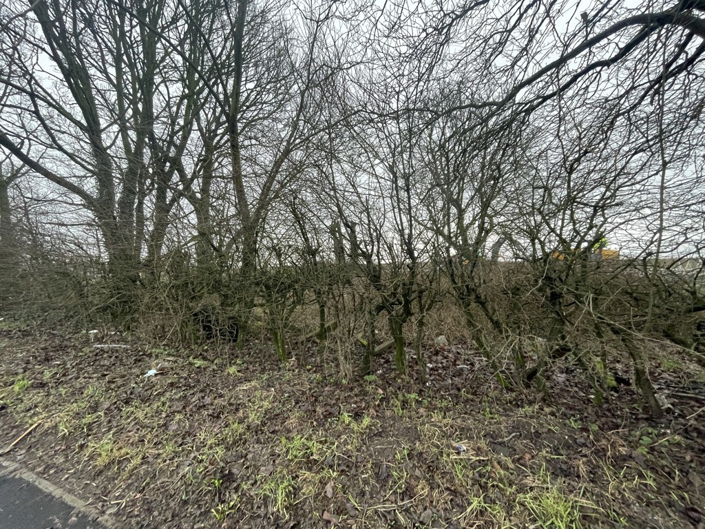 Land South Of Chorley Road, Westhoughton, Bolton, Lancashire, BL5 3NS