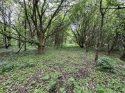 Property image #5