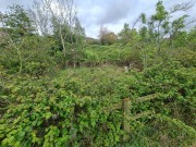 Property image #7