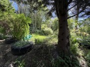 Property image #3
