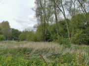 Property image #2