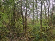 Property image #3