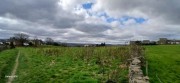 Property image #4