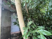Property image #7