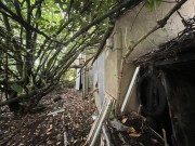 Property image #9