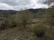 Property image #9