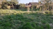 Property image #5