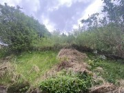 Property image #2