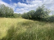 Property image #4