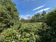Property image #3