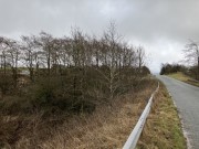 Property image #5