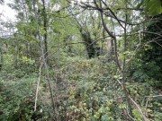 Property image #6