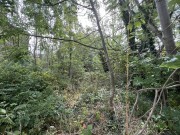 Property image #2