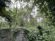 Property image #5