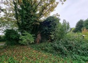Property image #9