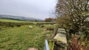 Property image #4
